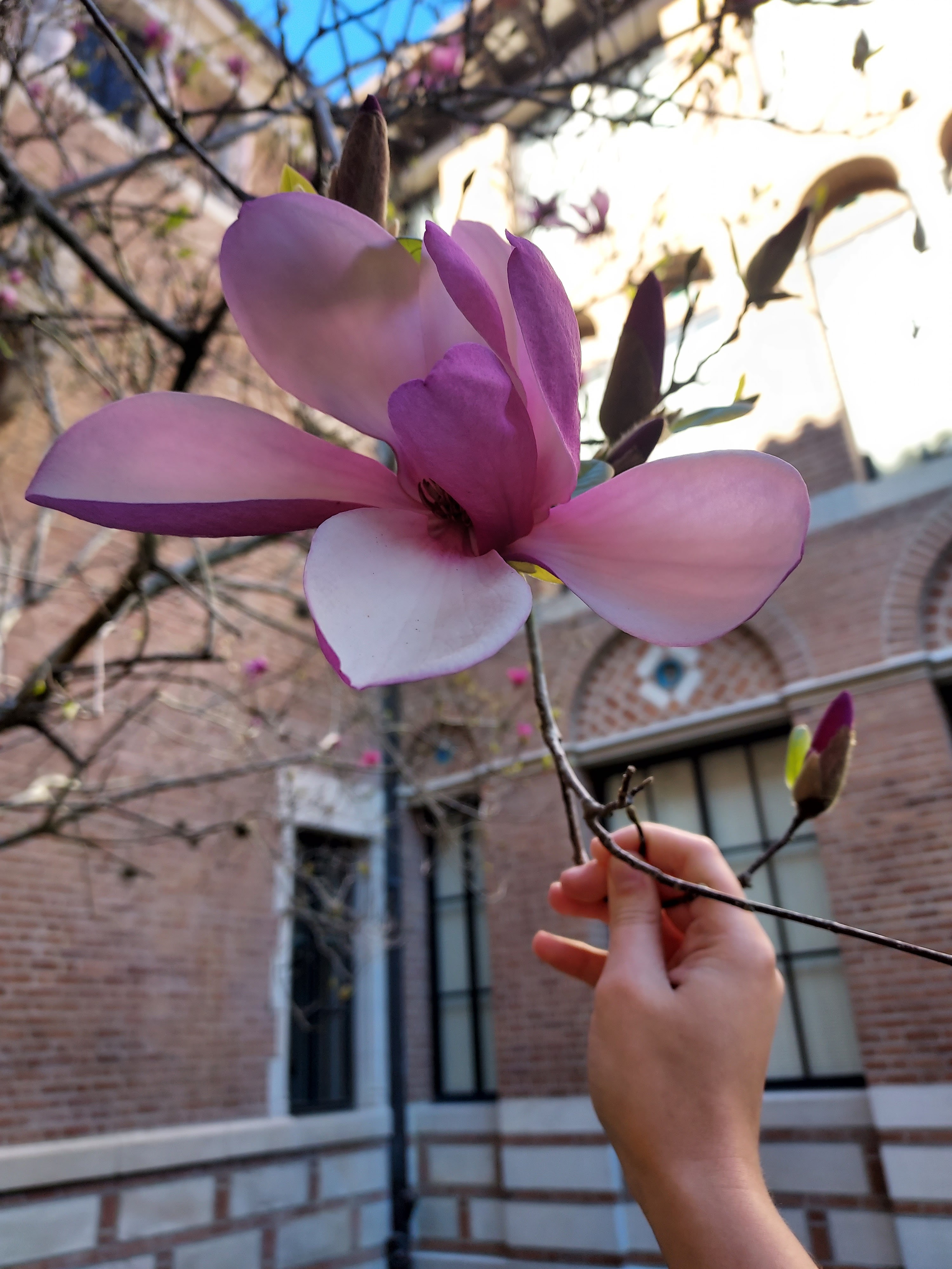 Explore Joanna's Music 